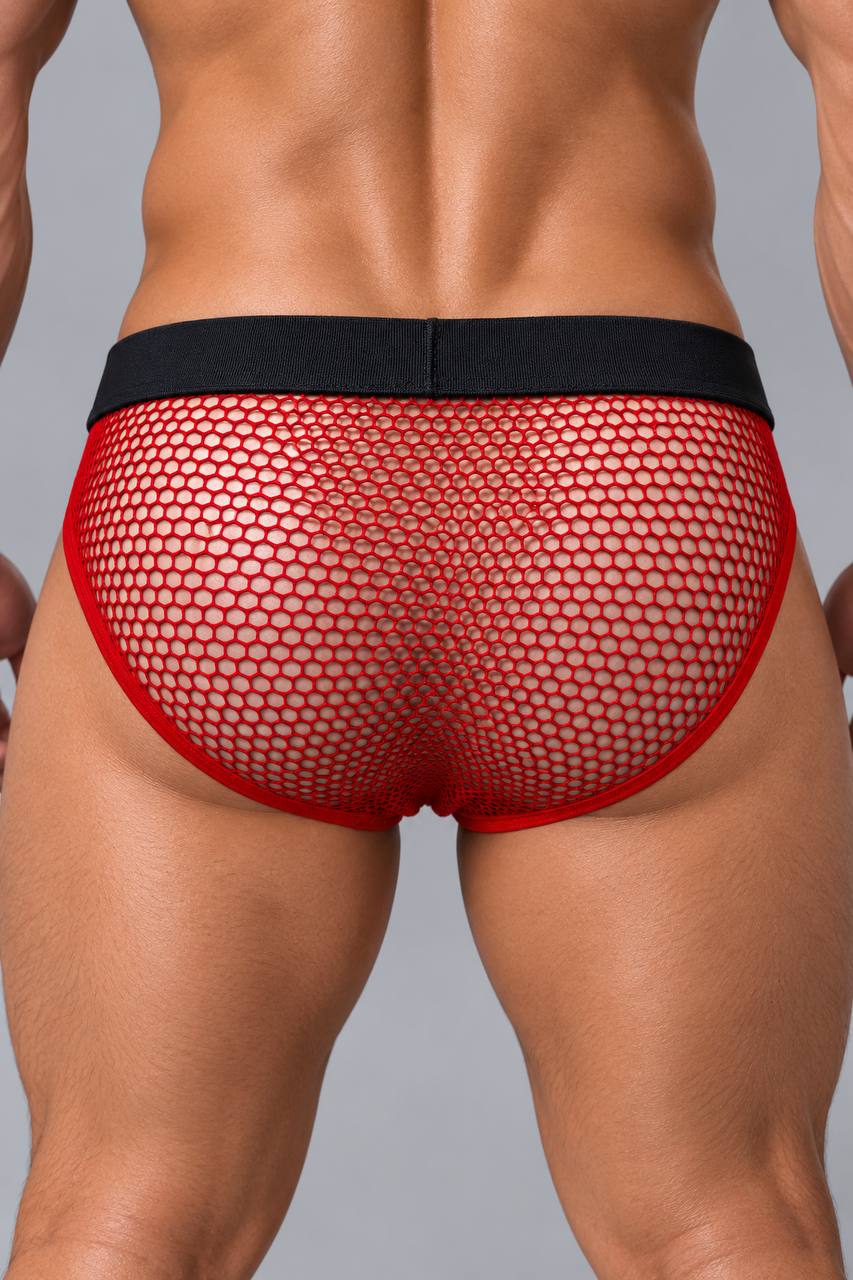 Red Temptation – بوكسر الشبك الأحمر (PNT1)