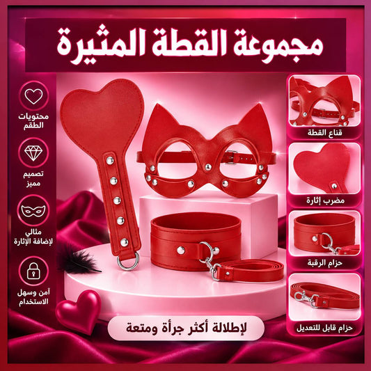 مجموعة القطة المطورة بالكرباج